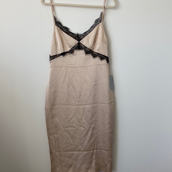 Lavish Alice Satin Slip Dress with Black Lace Detail Size: 10 - Picture 3 of 9